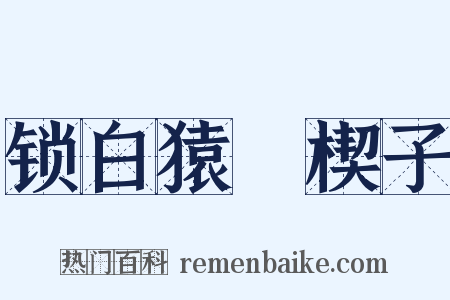 锁白猿・楔子是什么意思的图片